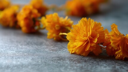 Close-up of a group of orange flowers on a gray textured surface. the flowers are in full bloom and appear to be marigolds.