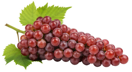 Isolated bunch of red grapes with green leaf, healthy fruit for sweet juice, snack, recipe