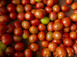 Fresh ripe tomatoes, natural red vegetables harvested in bulk for cooking, salad, and healthy nutrition