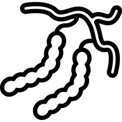 Obraz premium Tamarind Icon