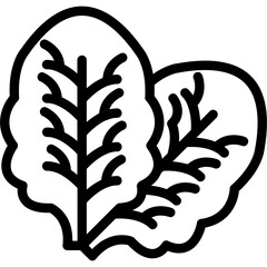 Spinach Icon