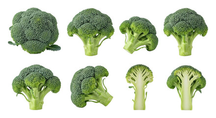 Isolated broccoli florets on display fresh for healthy food, cuisine, or food ingredient projects