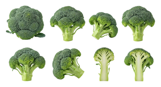 Isolated broccoli florets on display fresh for healthy food, cuisine, or food ingredient projects