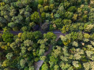 Aerial view of forest bisected by asphalt road with dashed lines; blue car parked near paved rest area showcasing contrast between dense greenery and infrastructure.