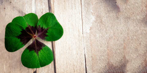 Gl&uuml;cksklee vor Holz Platz f&uuml;r Text Banner