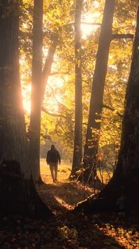 autumn walk