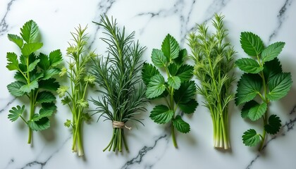 Fresh herbs arranged on a marble surface. Includes mint, rosemary, and other green herbs. Ideal for cooking and culinary presentations.