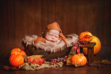 A son was born. Newborn photo session. A baby born in the fall. The baby is in autumn decorations...