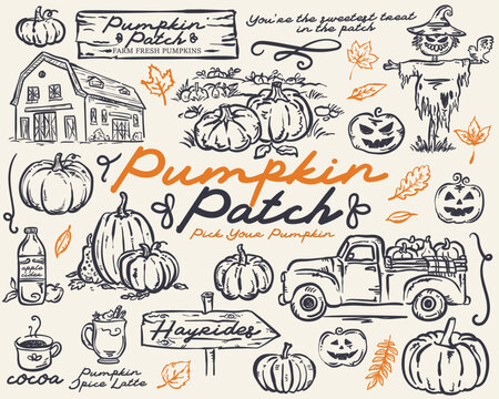 Pumpkin Patch Whimsical hand drawn vector illustration Set