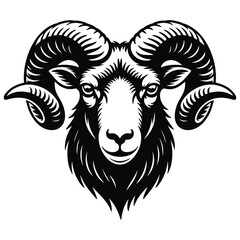 vector illustration of a sheep