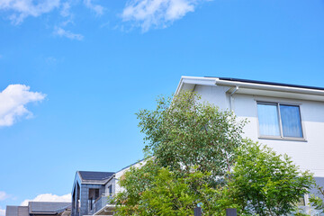 住宅地,家,住宅,青空,日本,