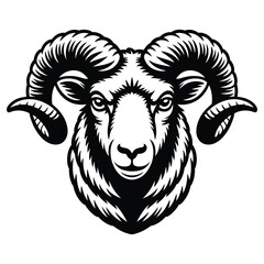 vector illustration of a sheep