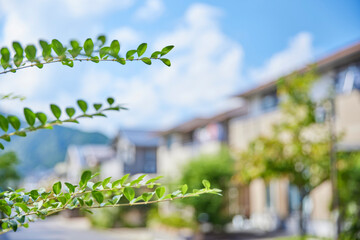 住宅地,家,住宅,青空,日本,
