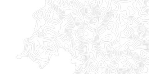 Abstract minimal diagram vector Lines Topographic contour lines grid pattern. discovery topology map relief. white topo area lines background. Topo contour map design.