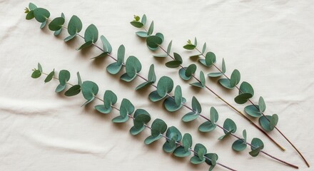Eucalyptus branches with round leaves arranged diagonally on a light fabric surface