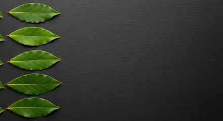 Five fresh green leaves neatly aligned on a dark textured surface with ample dark background