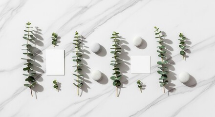 Flat lay of green leafy sprigs white round objects and blank rectangular cards arranged on a white marble surface with sharp shadows