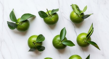 Fresh green citrus fruits with leaves artfully arranged on a white marble surface viewed from above