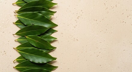 Fresh green leaves neatly arranged along the left side of a textured beige surface creating a vibrant border