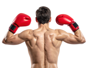 A muscular athlete in red boxing gloves poses with his back turned, showcasing defined shoulders and back muscles.