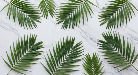 Green palm fronds are scattered across a white marble surface showcasing their distinct shapes and natural veins