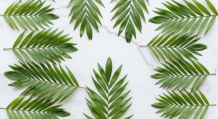Fototapeta premium Green palm fronds are artfully arranged on a white marble surface framing a central empty space with natural elegance