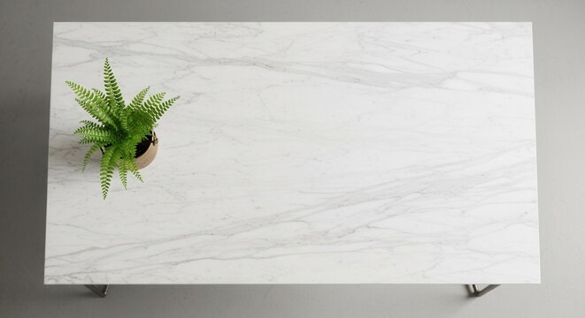 Overhead view of a white marble table featuring a vibrant green fern in a light pot on one corner set against a neutral grey background