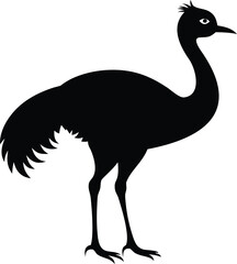 Obraz premium Vector art of silhouette of an emu bird standing design, Black and white Ostrich bird vector silhouette illustration