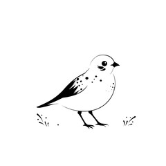 Obraz premium quail. quail simple black and white line art vector logo