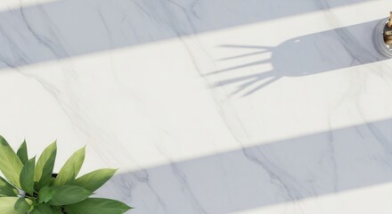 White marble surface with a green plant in the corner and a holder of slender objects Sunlight casts sharp shadows across the clean bright area