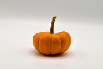 one small pumpkin