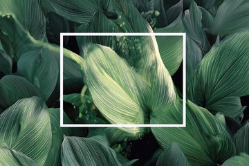 Framed vibrant foliage