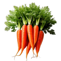 a group of carrots with leaves
