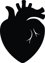 Human Heart Silhouette Vector, Human Heart Vector, Black Silhouette and Outline, Anatomical and Valentine Symbol - Medical, Health, and Love Design EPS