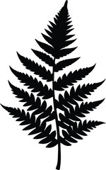 Fototapeta premium Fern Leaf Silhouette Vector, Fern Frond Vector Outline, Leaf Fern Clip Art, Black Fern Silhouette Illustration