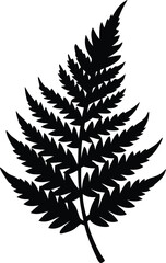 Fototapeta premium Fern Leaf Silhouette Vector, Fern Frond Vector Outline, Leaf Fern Clip Art, Black Fern Silhouette Illustration