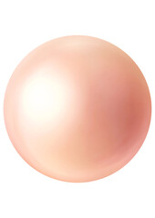 Shiny pearl isolated on transparent background close up view