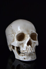 Model of a human skull with reflection isolated on black background