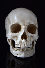 Human skull front closeup isolated on black