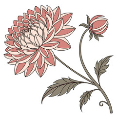 A stylized illustration of a blooming pink and cream dahlia flower with a bud and leaves on a white background © Miasahin