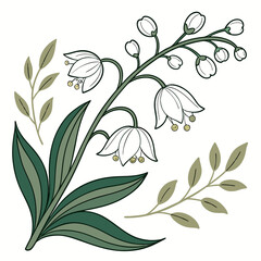 Elegant line art illustration of lily of the valley flowers and green leaves on a white background © Miasahin
