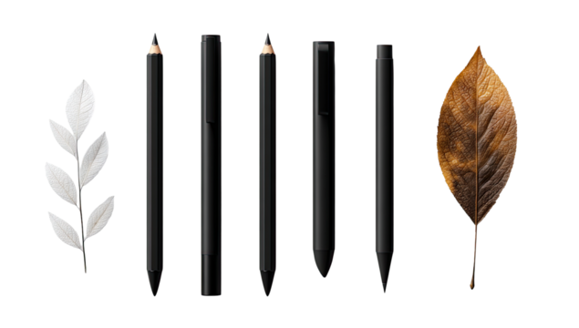 White plant, black pencils, brown leaf