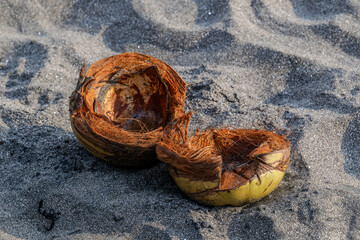Open coconut on the beach