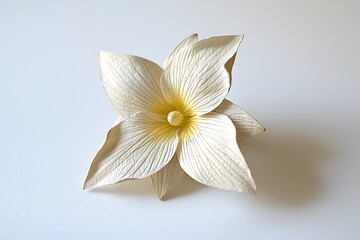 Elegant White Flower with Delicate Petals and Subtle Yellow Center Close-Up on Soft Background