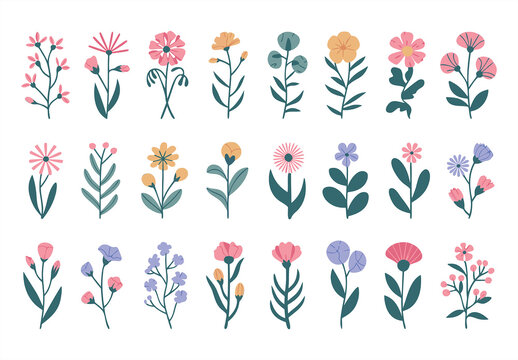 Wildflowers and Leaves Flat Vectors Template