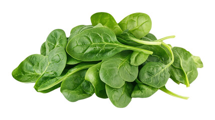 Fototapeta premium Fresh green spinach leaves pile isolated on a transparent background