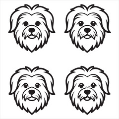 A Sacred Tibetan Lhasa Apso Dog, an Ancient Lion Dog Sentinel Breed with Long Coat and Distinctive Eye Covering Flowing Hair