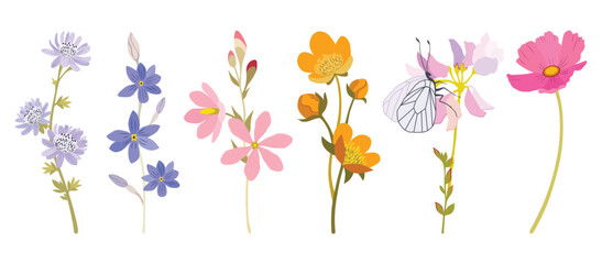 Summer meadow flowers. Poppy flowers. Pink, red, blue, green colors. Flower illustrations, summer field, butterflies. Herbal decoration, romantic wildflowers, kitchen towel, tablecloth, dress for girl