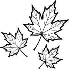 Autumn maple leaves line art seasonal nature outline illustration vector