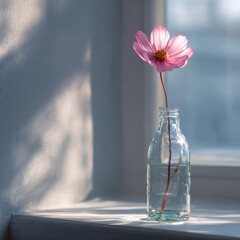Delicate Pink Cosmos Flower in Glass Bottle, Sunlit Window Sill, Serene Still Life.